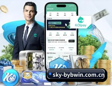 sky-bybwin.com.cn APP 深度功能