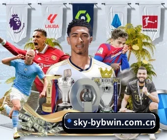sky-bybwin.com.cn APP